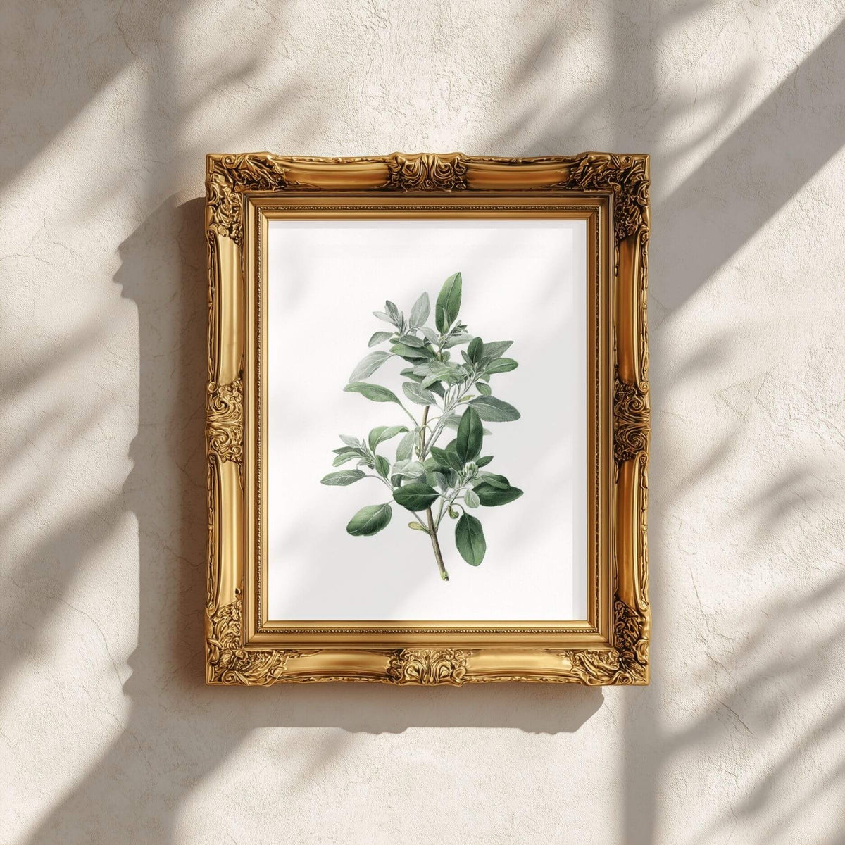 Silver Sage Wall Art | Kitchen Botanical Poster | Lemonbaum