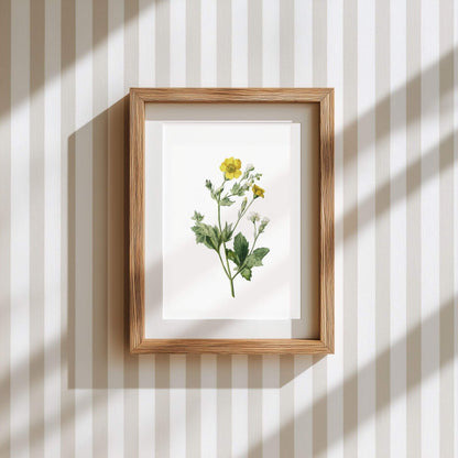 Buttercup Wildflower Wall Art | Botanical Kitchen Poster | Lemonbaum
