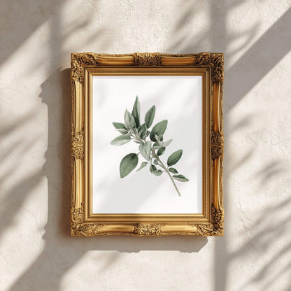 Sage Blossom Wall Art | Kitchen Botanical Poster | Lemonbaum