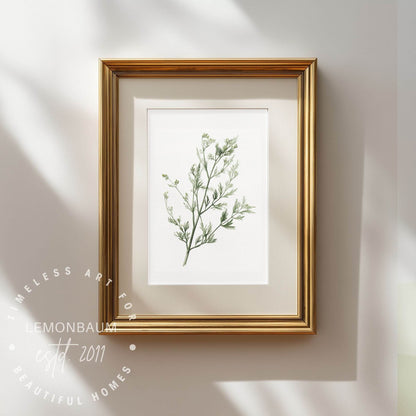 Wild Fennel Sprig Wall Art | Kitchen Botanical Poster | Lemonbaum